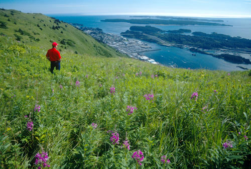 kodiak-overlook-sm
