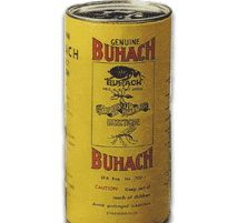 buhach