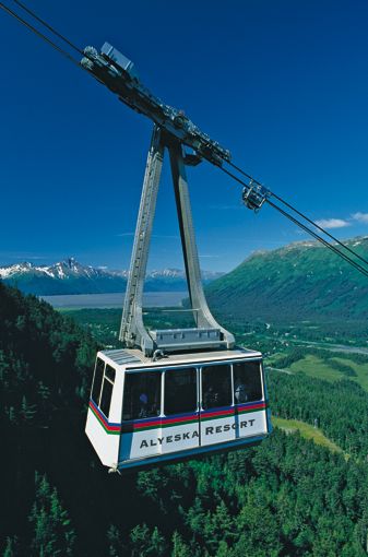 tram_summer