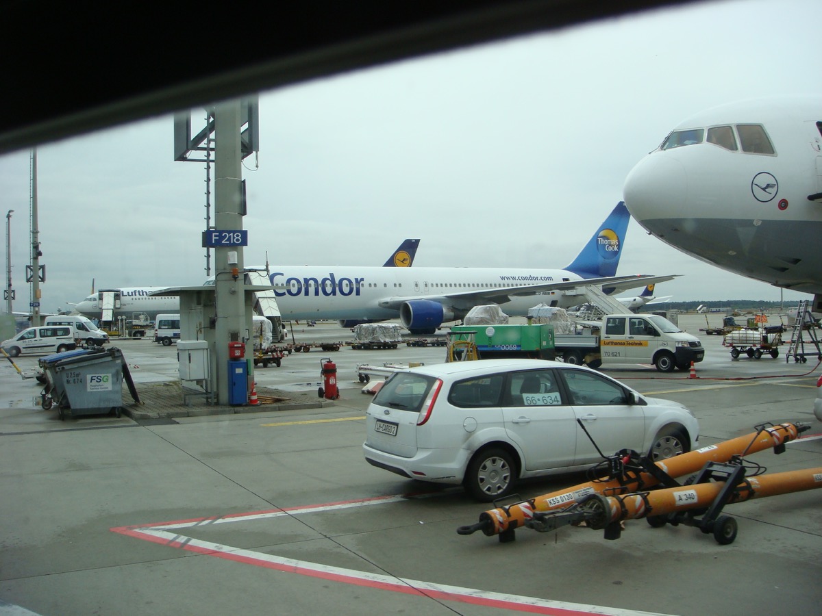 condor condor